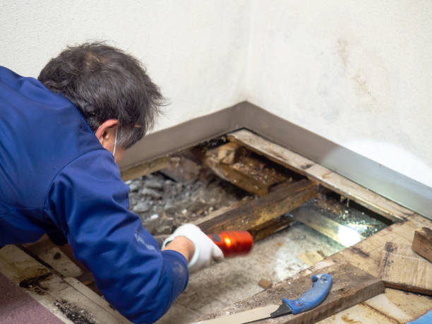 Water Damage Restoration in Ranger, TX