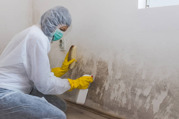 Best Mold Testing  in Ranger, TX