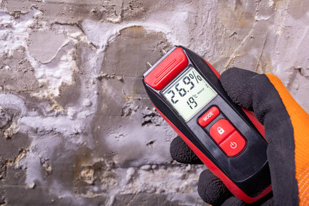 Best Residential Mold Removal  in Ranger, TX